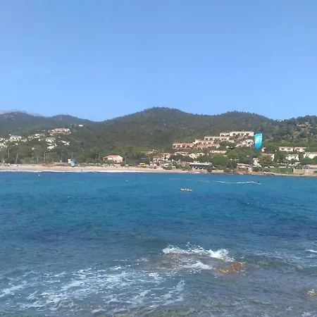 Appart Climatise 50 M Plage Jardin 5000 M Carre Rdc Villa *