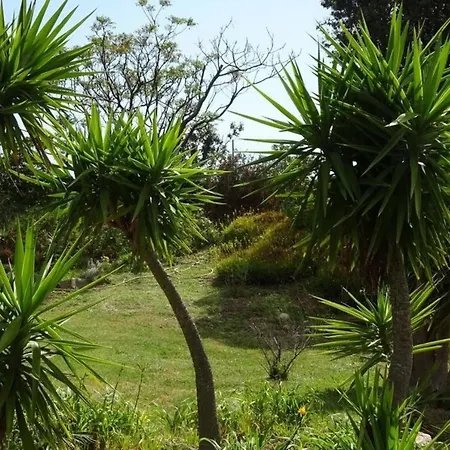 Appart Climatisé 50 M Plage Jardin 5000 M Carré Rdc