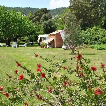 Villa Appart Climatisé 50 M Plage Jardin 5000 M Carré Rdc *
