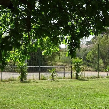 Villa Appart Climatise 50 M Plage Jardin 5000 M Carre Rdc *