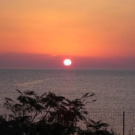 Appart Climatisé 50 M Plage Jardin 5000 M Carré Rdc Villa *